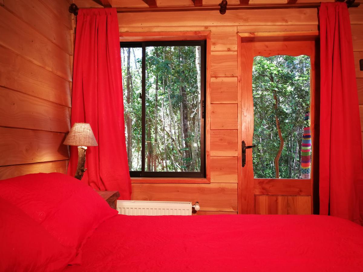 Okori Hostel Pucon Exterior photo
